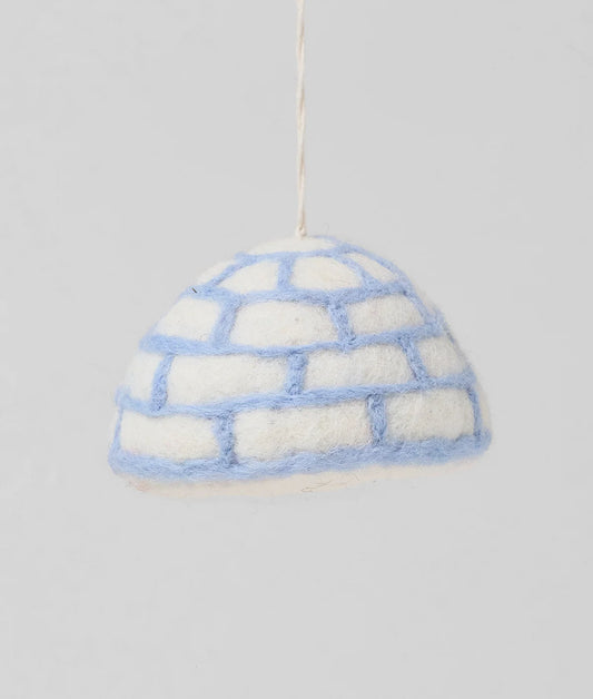 Frosty - Cat in Igloo