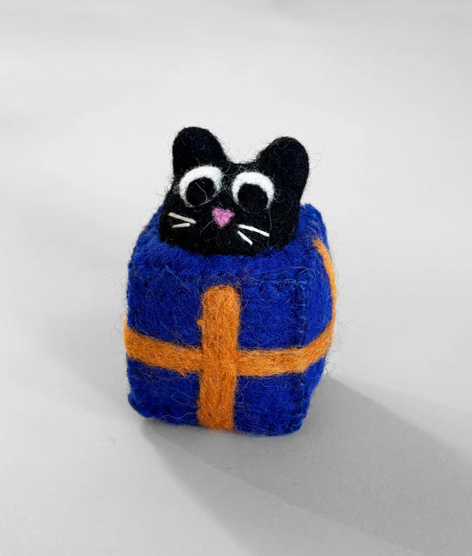 Roland - Cat in a Box