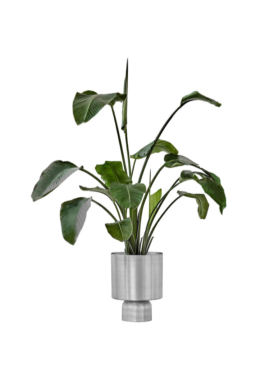 ADA PLANTER RAW - BOLD