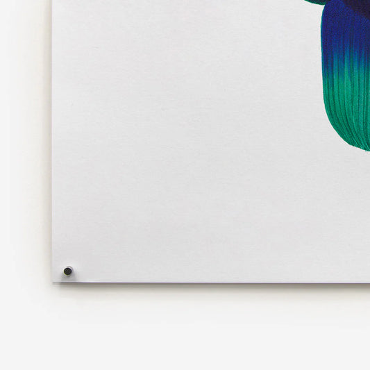 Magnetic Poster Hanging Kit