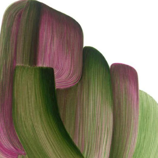 Ronan Bouroullec Drawing 20 Poster