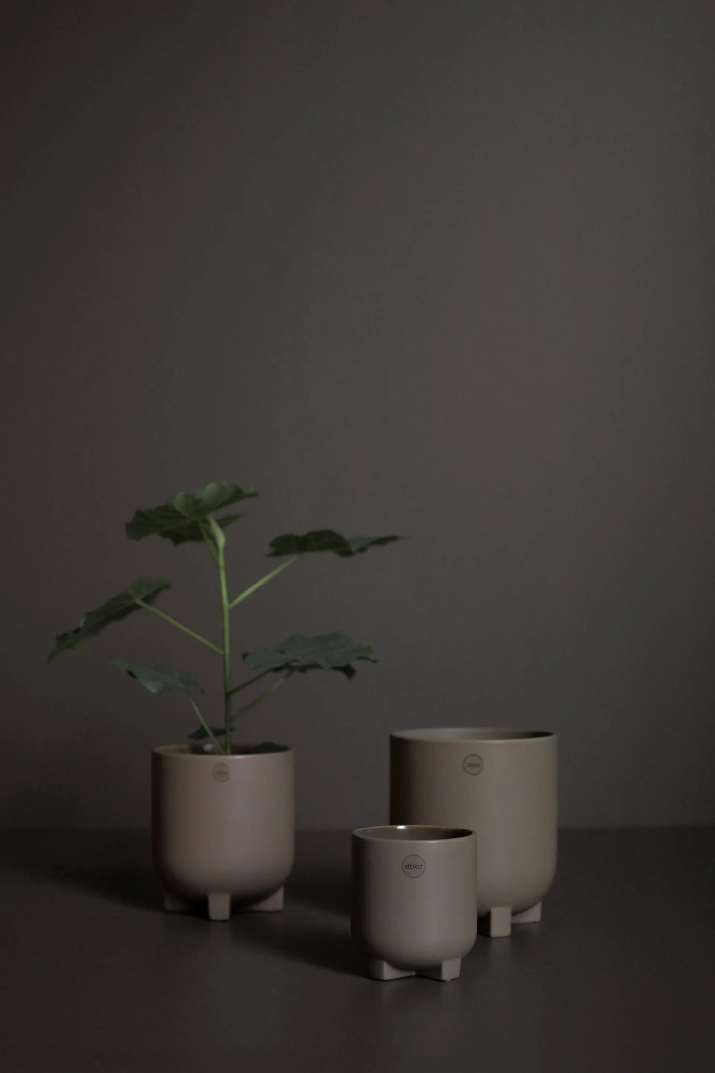 Plus - Flower Pot Ø16cm / Dust