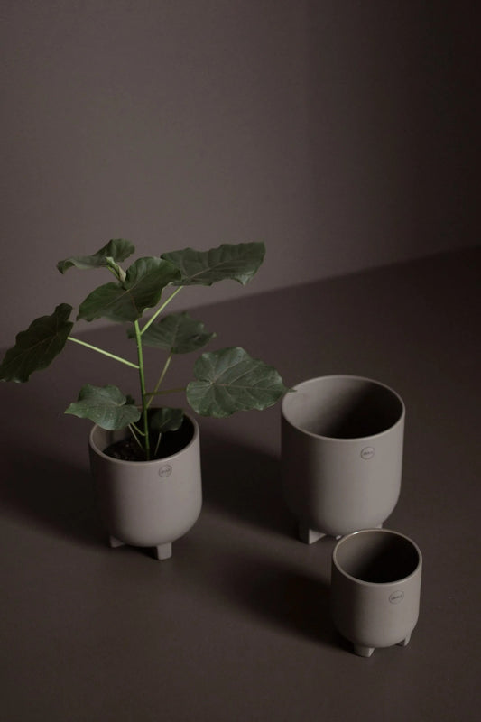 Plus - Flower Pot Ø16cm / Dust
