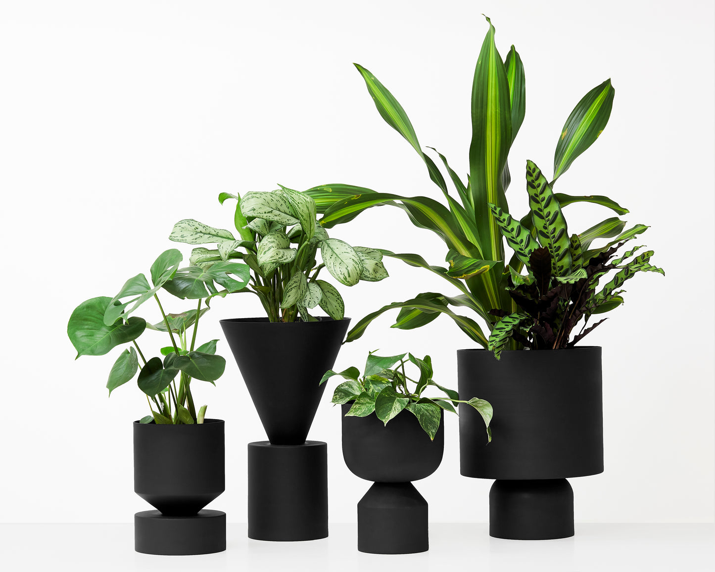 ADA PLANTER BLACK - MIDI