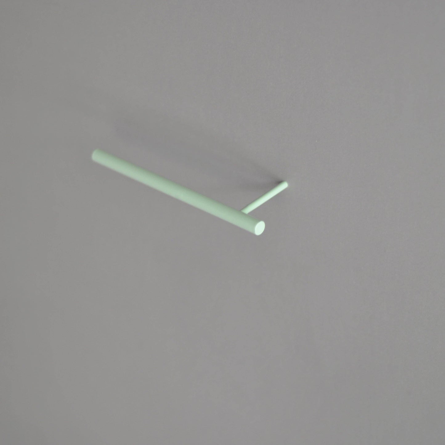 Wall-mounted hooks and Toilet Paper Holder - Mint Green