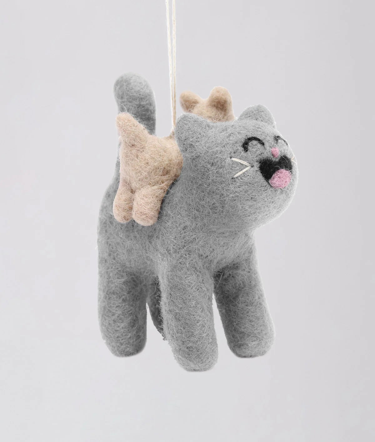 Pabs Smiley - Cat with a Cat