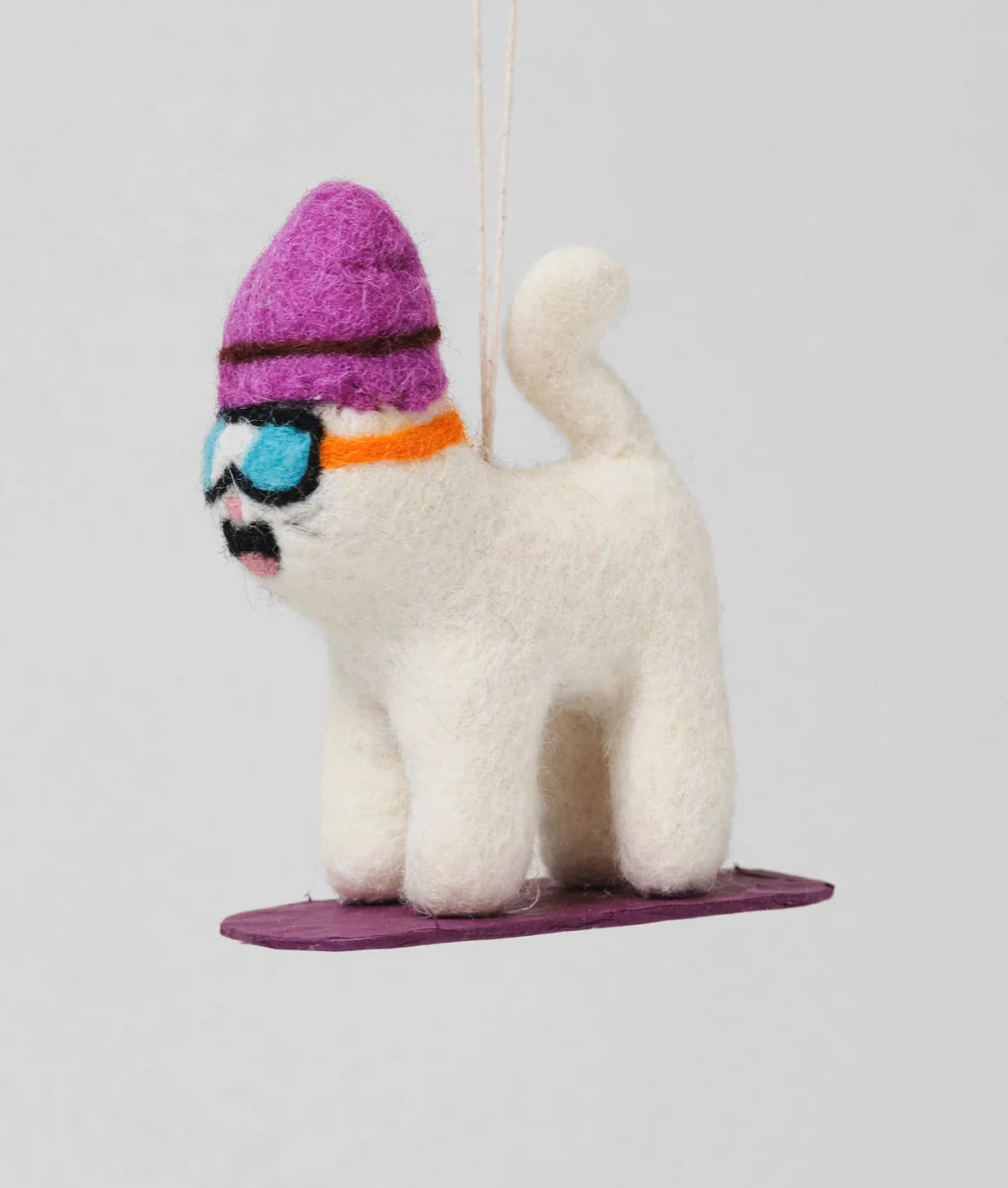 Shaun - Snowboarded Cat