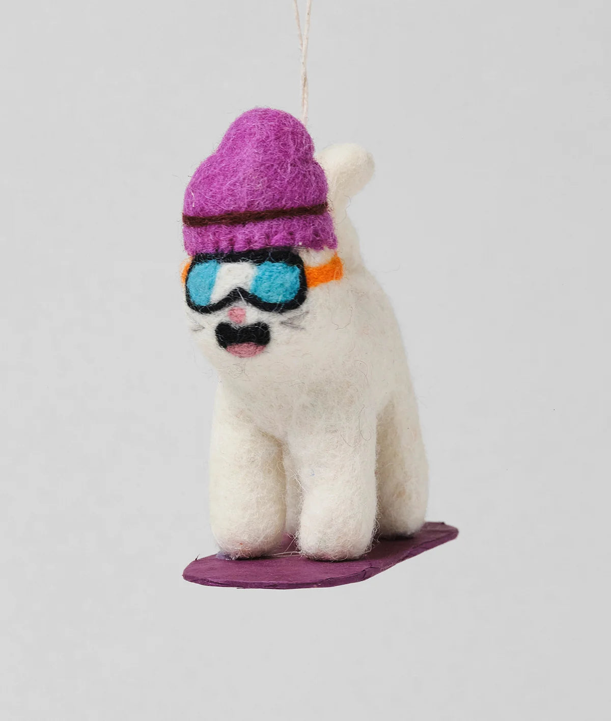Shaun - Snowboarded Cat